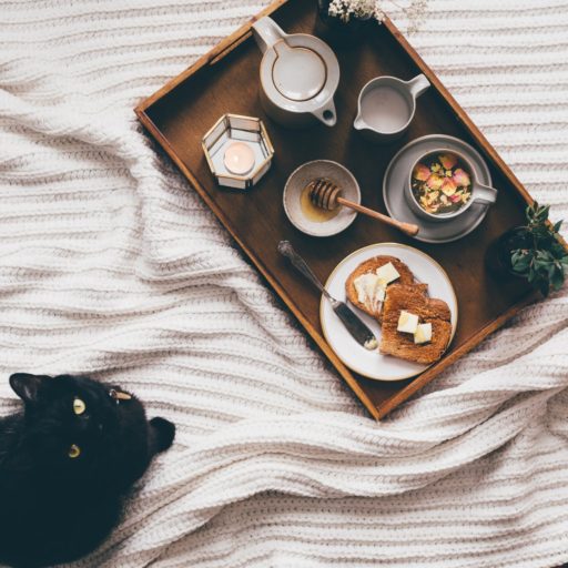 tray with snack near cat on bed