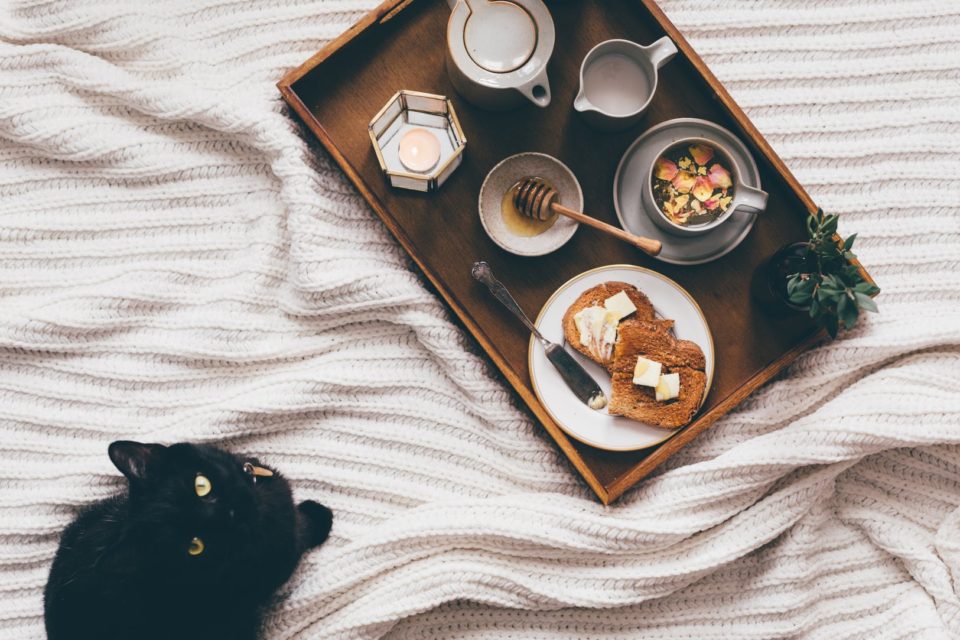 tray with snack near cat on bed